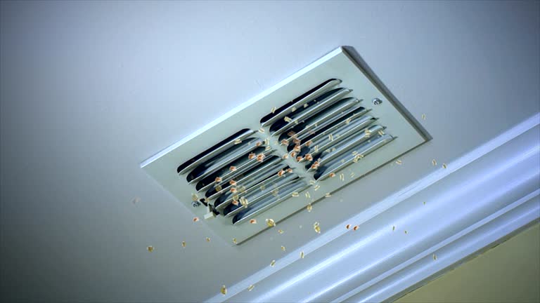 Best Best Air Duct Cleaning Company  in Monona, WI