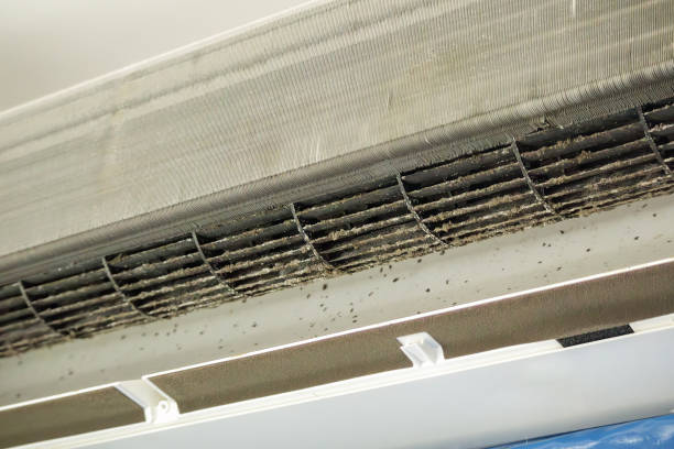 Best Best Air Duct Cleaning Company  in Monona, WI