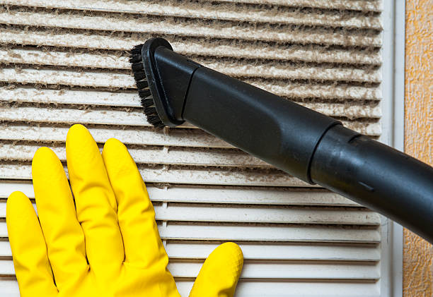 Best Air Duct Mold Removal  in Monona, WI